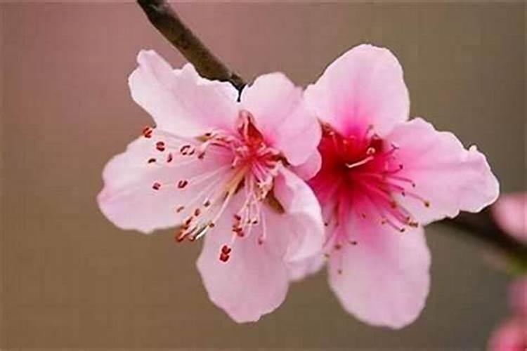 男人催桃花运的9种方法