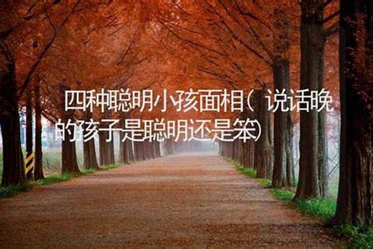 2023年杭州一般会热到几月份 杭州市高温天气主要在几月