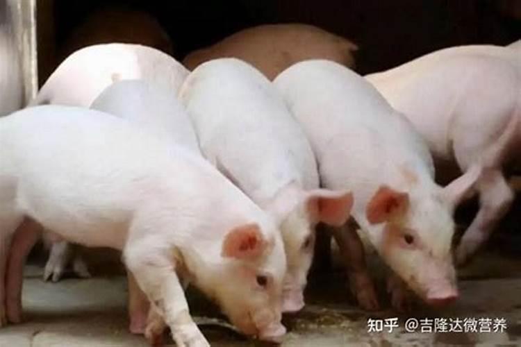 周易八卦算姻缘的方法,易经算姻缘