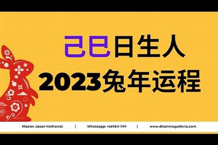 三命通会 己巳日不同时辰生人的命运解析