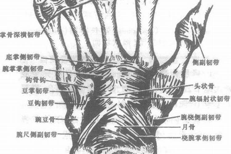 2025属蛇本命年的大忌是什么