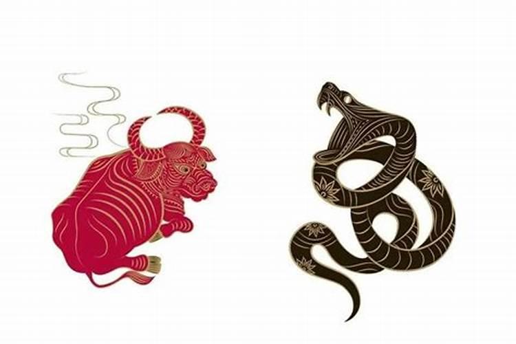 合婚姻:属牛的女人和属蛇男能配吗 婚姻好不好