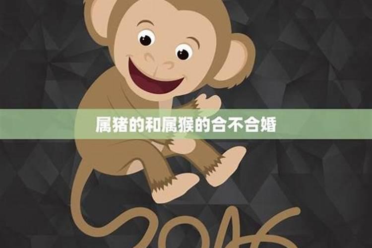 关于马的传说故事20字
