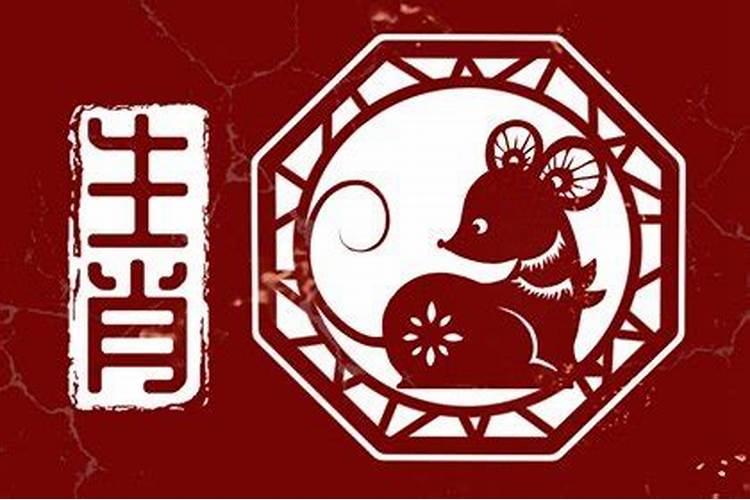 属鼠养什么最旺财运