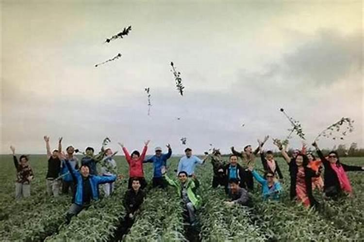 窄门——选择走少数人的路,的txt全集下载地址