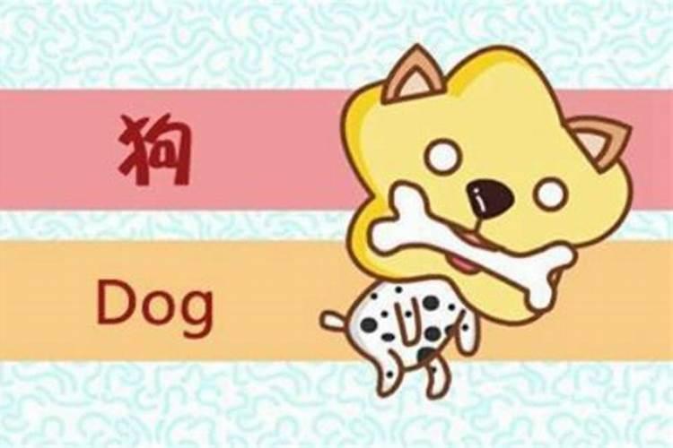 属狗的最佳配偶属相