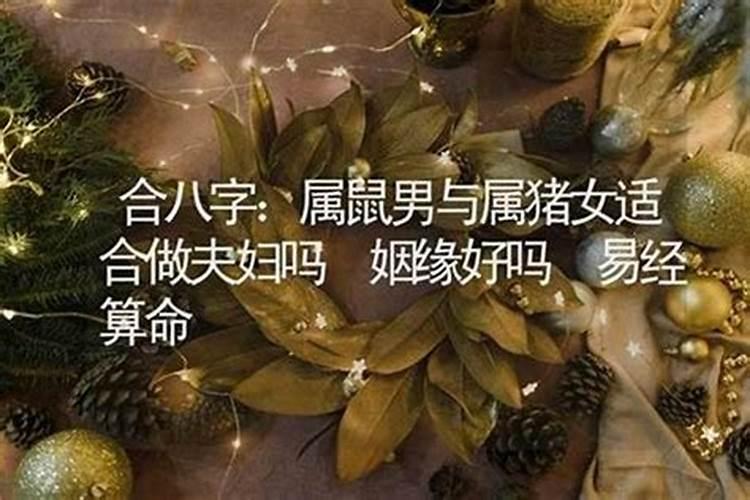 1984年鼠和1983年猪婚配 八字相合吗？