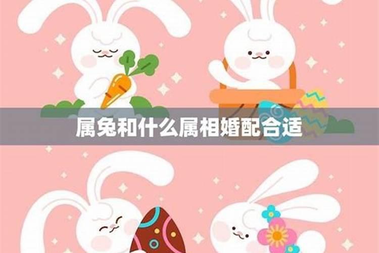 梦见死了的女同事复活了的预兆