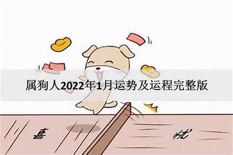 属兔和属狗的合不合