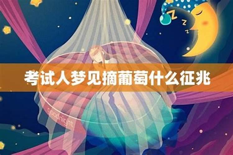 梦见葡萄