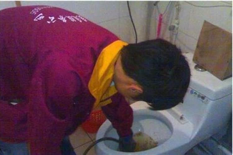 柳州元宵节哪里有花灯