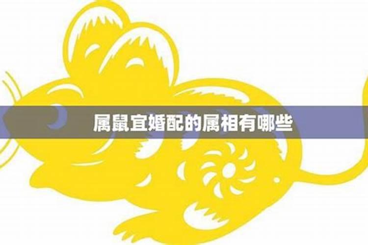 史上最放荡最浪漫的皇帝明神宗一天娶九个老婆