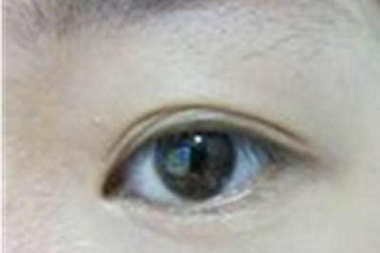 梦见杀马马没有死又来一匹马的预兆
