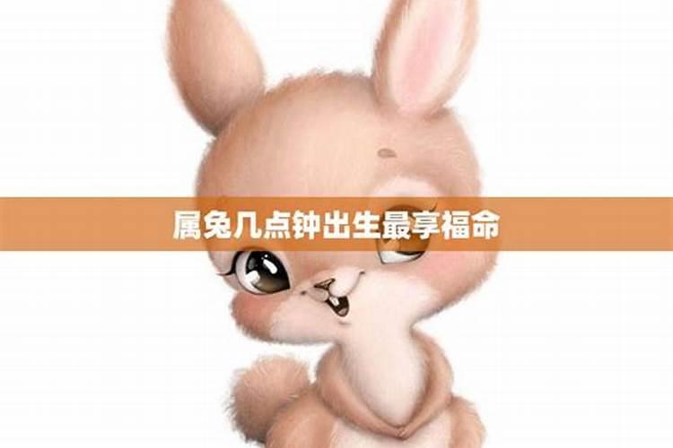 属狗的2025犯太岁吗