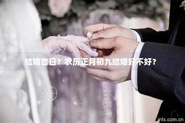 蛇和龙的属相合不合