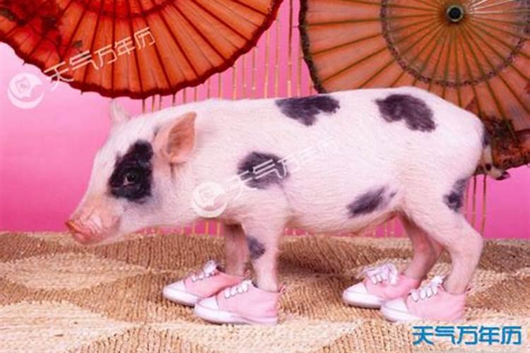 感情姻缘不顺可以化解吗,婚姻不顺的六种化解方法