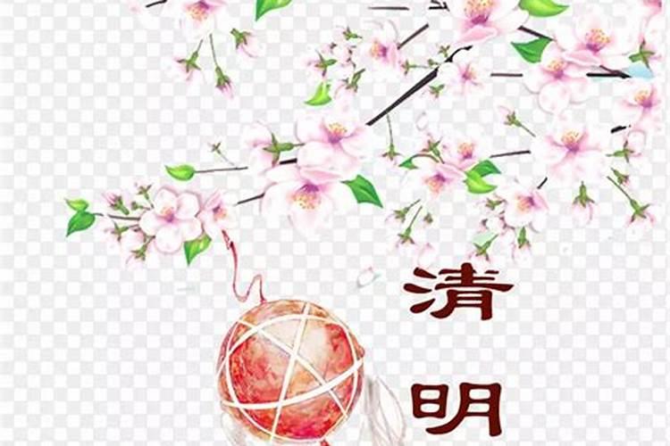 清明樱花祭作品简介