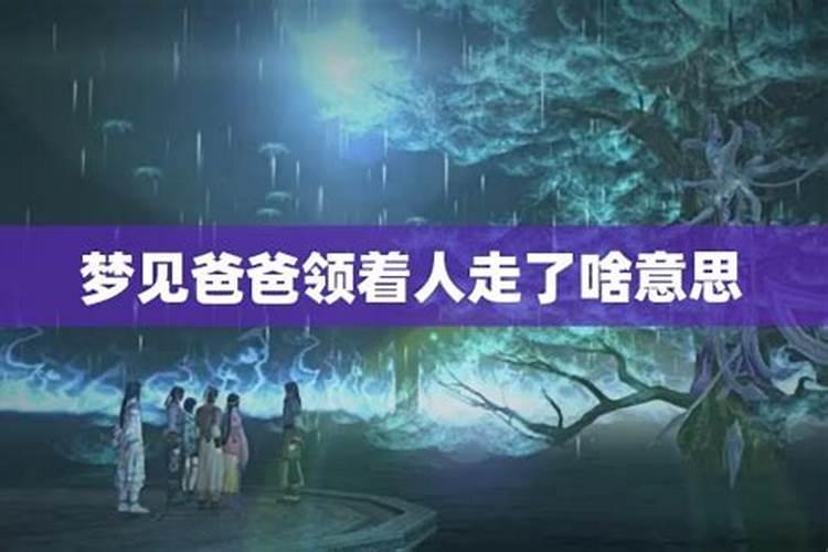 梦见爸爸笑着和我说他要走了