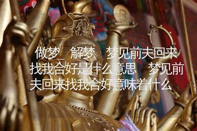 属兔属羊千万不能在一起,羊与兔不能在一起的原因