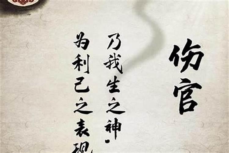 1976年的龙是什么命