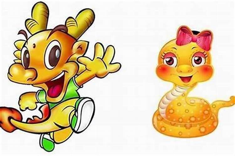 2000年属龙男和2001年属蛇女 不太适合有矛盾