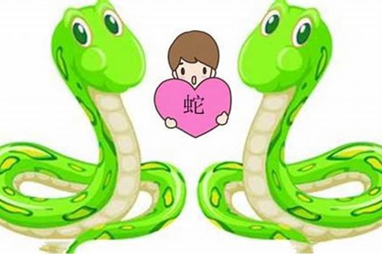 属龙男和属蛇女的婚姻相配吗 属龙男和属蛇女的姻缘怎样？