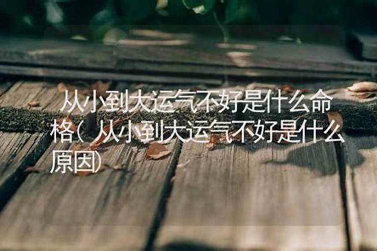 冲煞生肖查询 2023年9月30日属什么冲什么生肖？