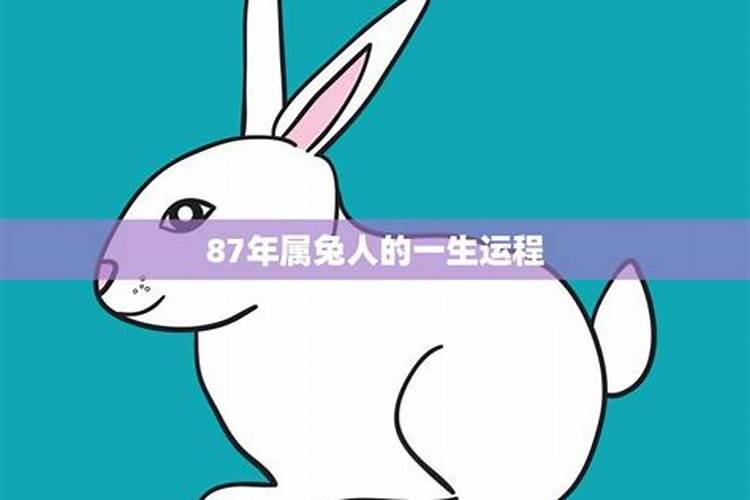 算命中的结婚年份是领证,还是举行婚礼,还是同居的时候