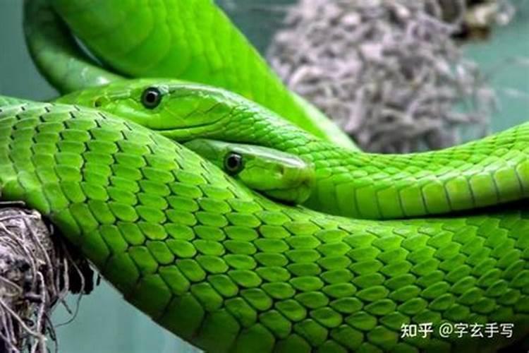 梦见做梦 梦见做梦意思是什么
