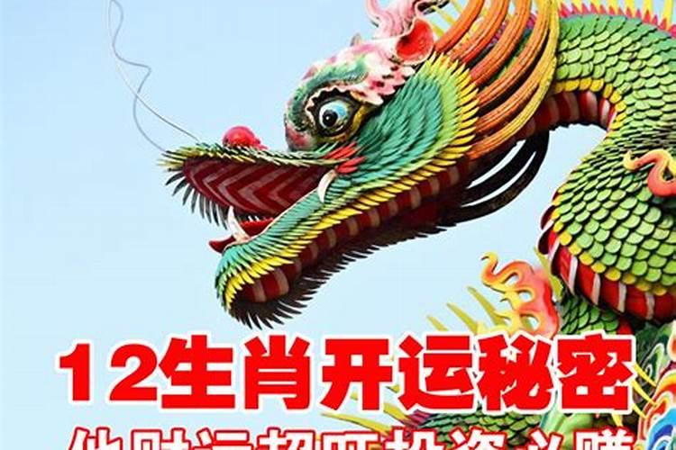 男马和女鼠结合的后果,属马男和属鼠女在一起有什么不好
