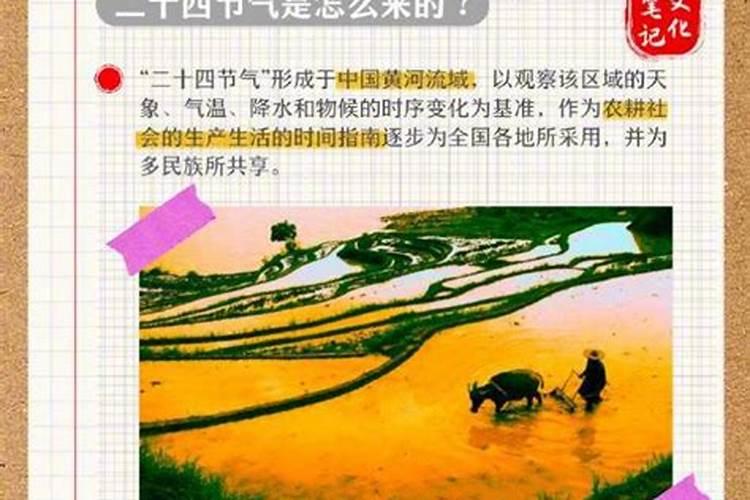 八字看什么样的人最聪明