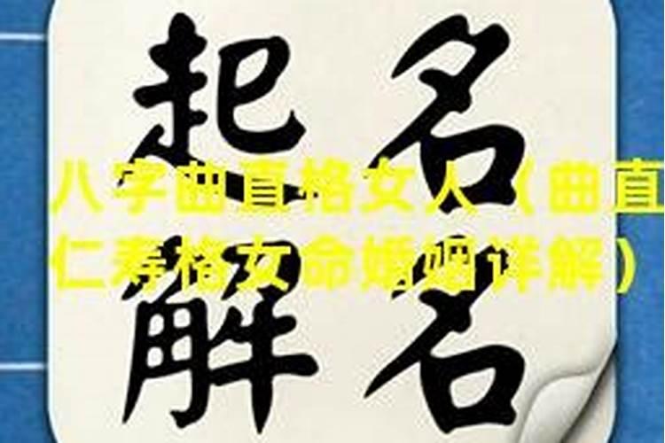 2025属猪的全年运势 2025年属猪人运势如何