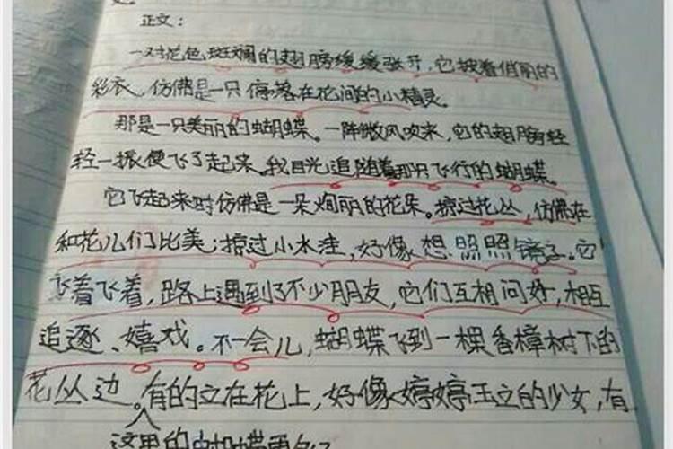 寒冷的操场小练笔？