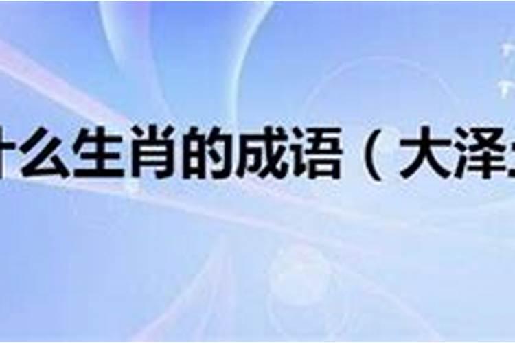 急需大师八字合婚!男命:庚午 丙戌 癸亥 癸丑 女命:壬申 己酉 壬子 乙...