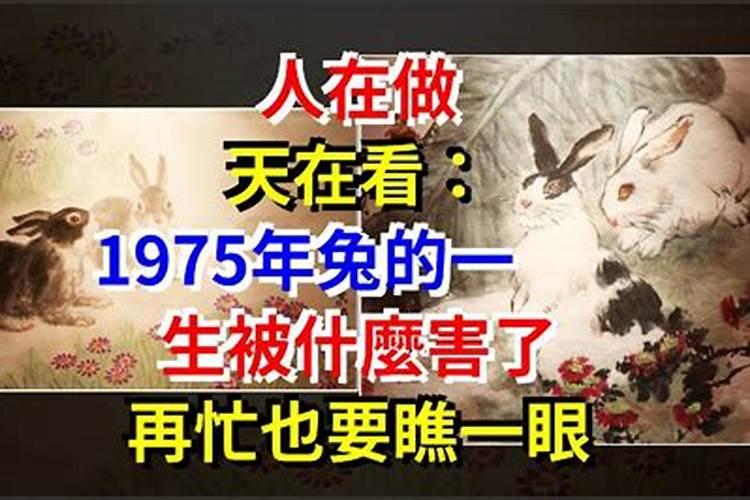2024年正月初五黄历查询是黄道吉日吗