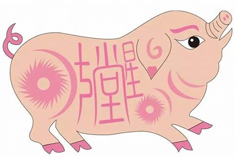 1995属猪一生大劫年一生有三劫