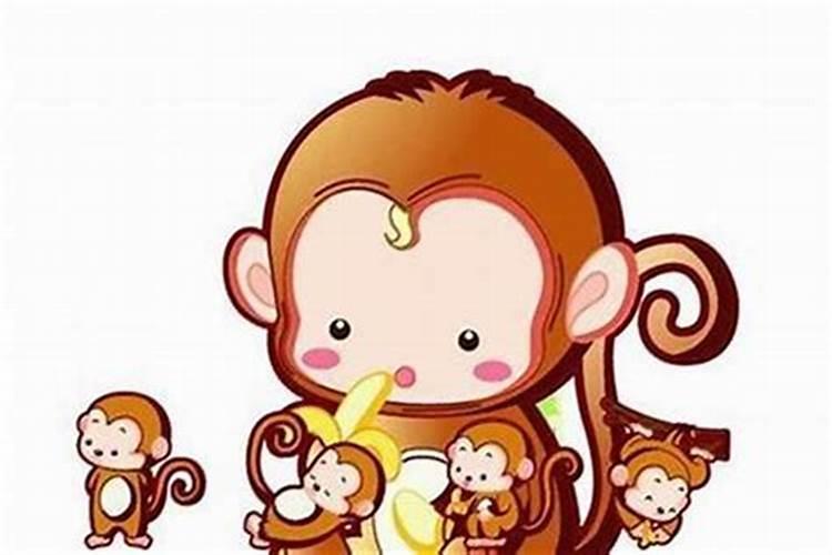 梅花易数断卦的要领及方法有哪些？