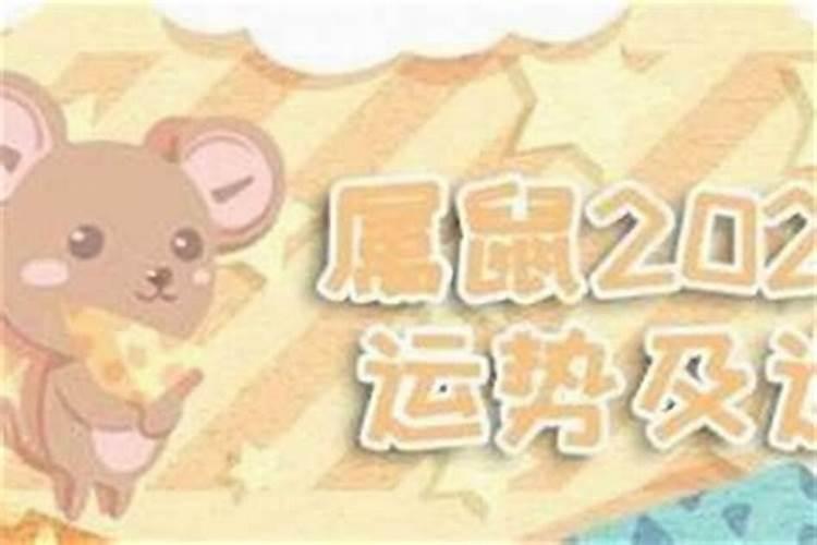 犯太岁属相一览表