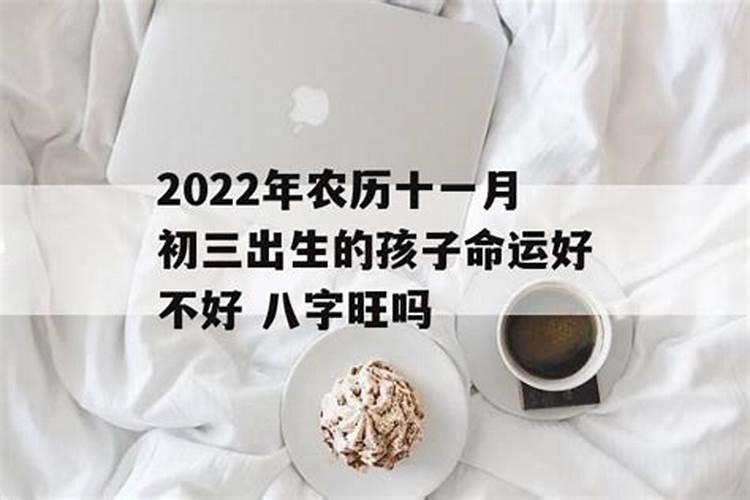 属龙女九月出生的命运 九月的属龙人性格