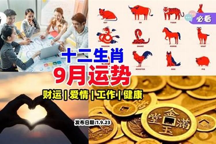 农历九月出生的属兔人运程如何
