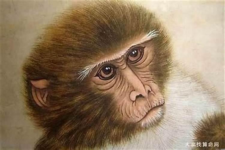 属猴的人哪年犯太岁 这三年要注意？