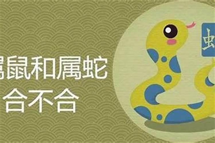 男女八字合婚地支相合,八字合婚怎么才算合啊