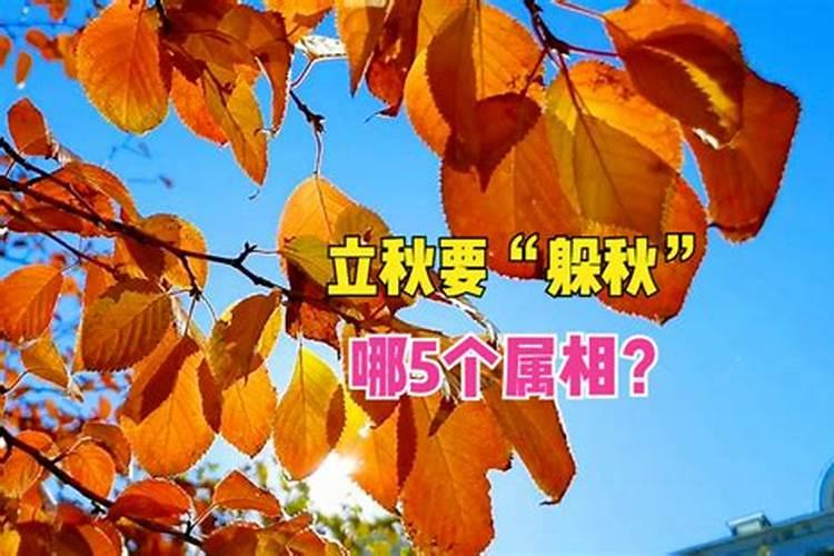 清明节上坟为什么不能上两次清明节不能上两次坟