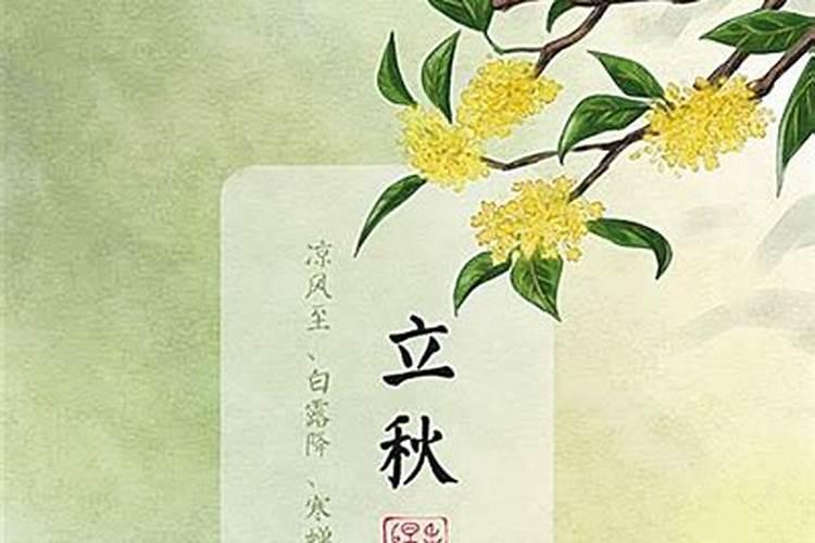 秋处露秋寒霜降中的秋处露秋指的是什么？什么什么什么四个节气