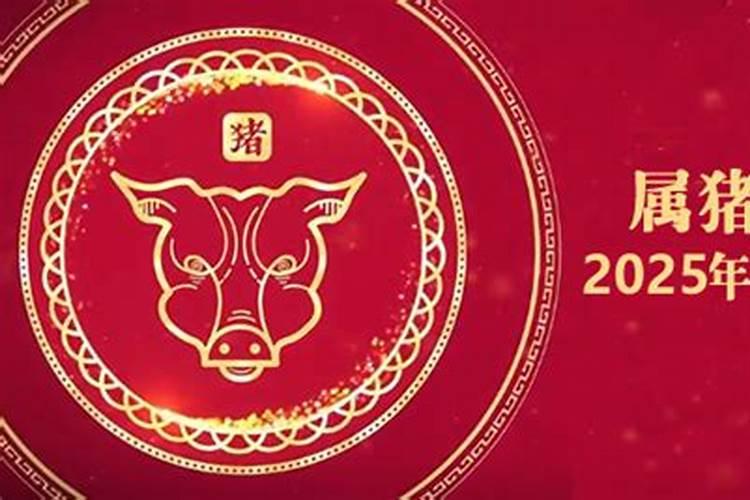 属猪的人2025年运势及运程详解