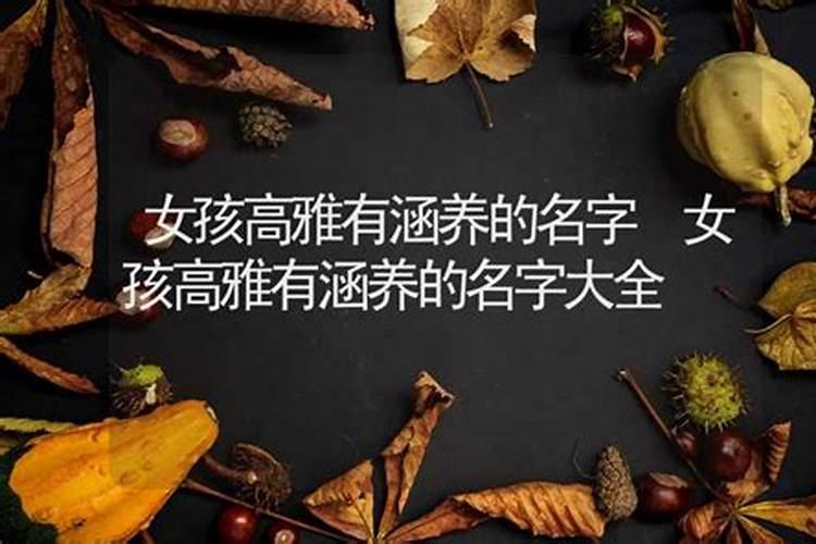 女孩名字高雅有涵养的名字