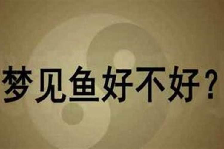 和合符7天的禁忌