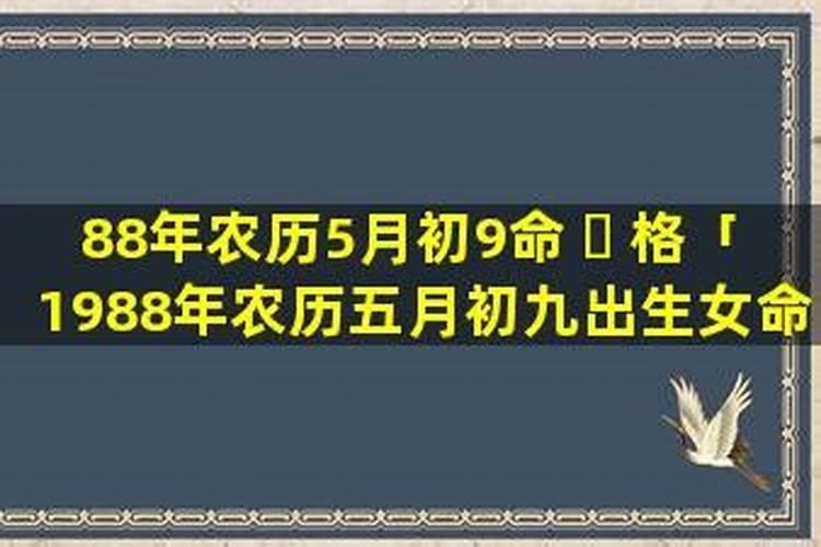 农历1988年4月初9 生于早晨6点左右 请大师驻足停留