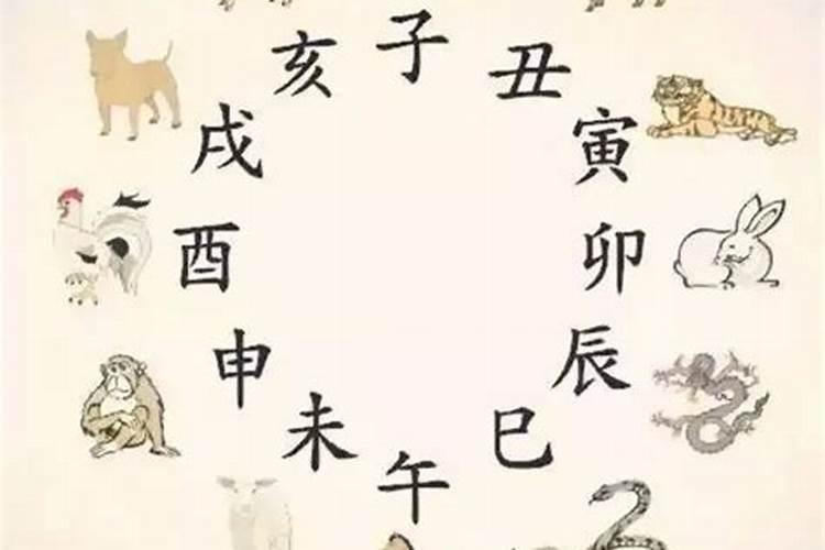 猴年马月的由来
