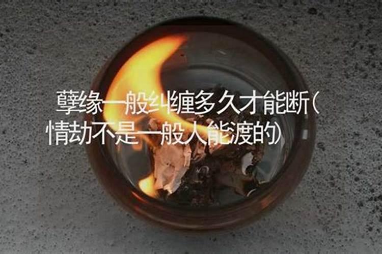 情债是上辈子欠的吗